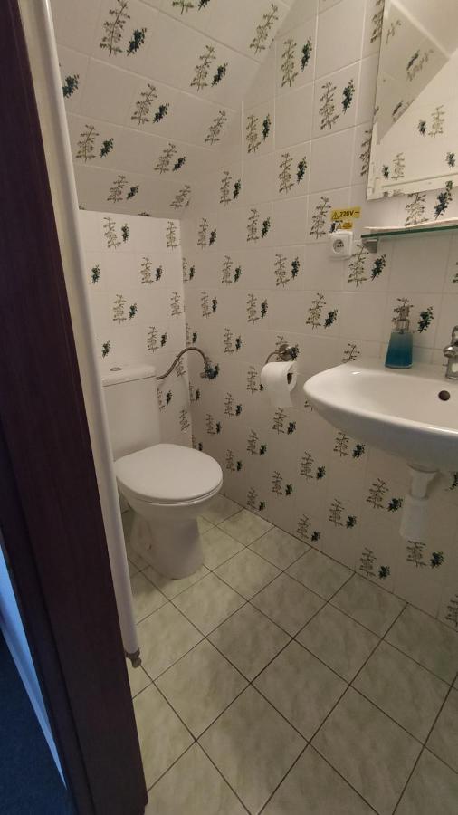 Hotel Hospodarsky Dvur Bohuslavice テルチ エクステリア 写真
