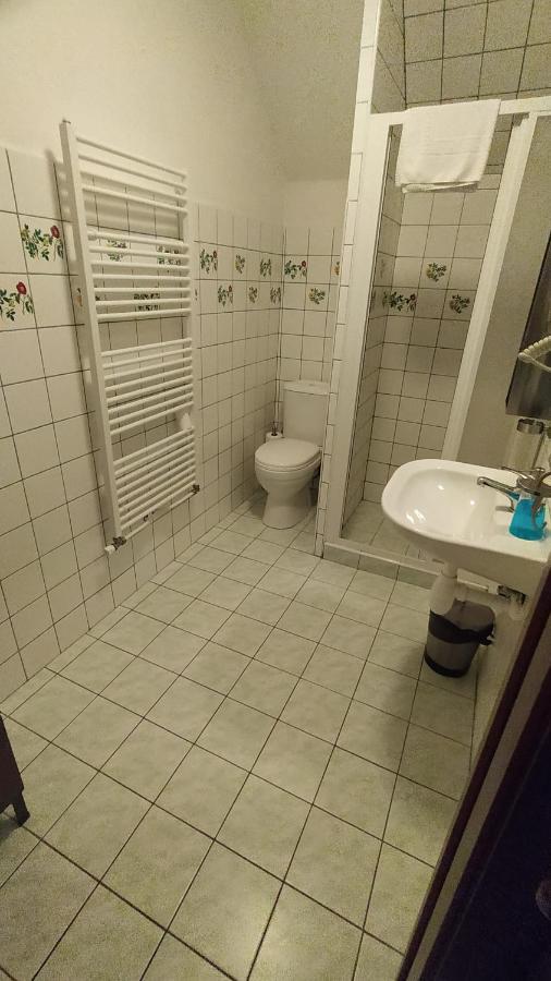 Hotel Hospodarsky Dvur Bohuslavice テルチ エクステリア 写真
